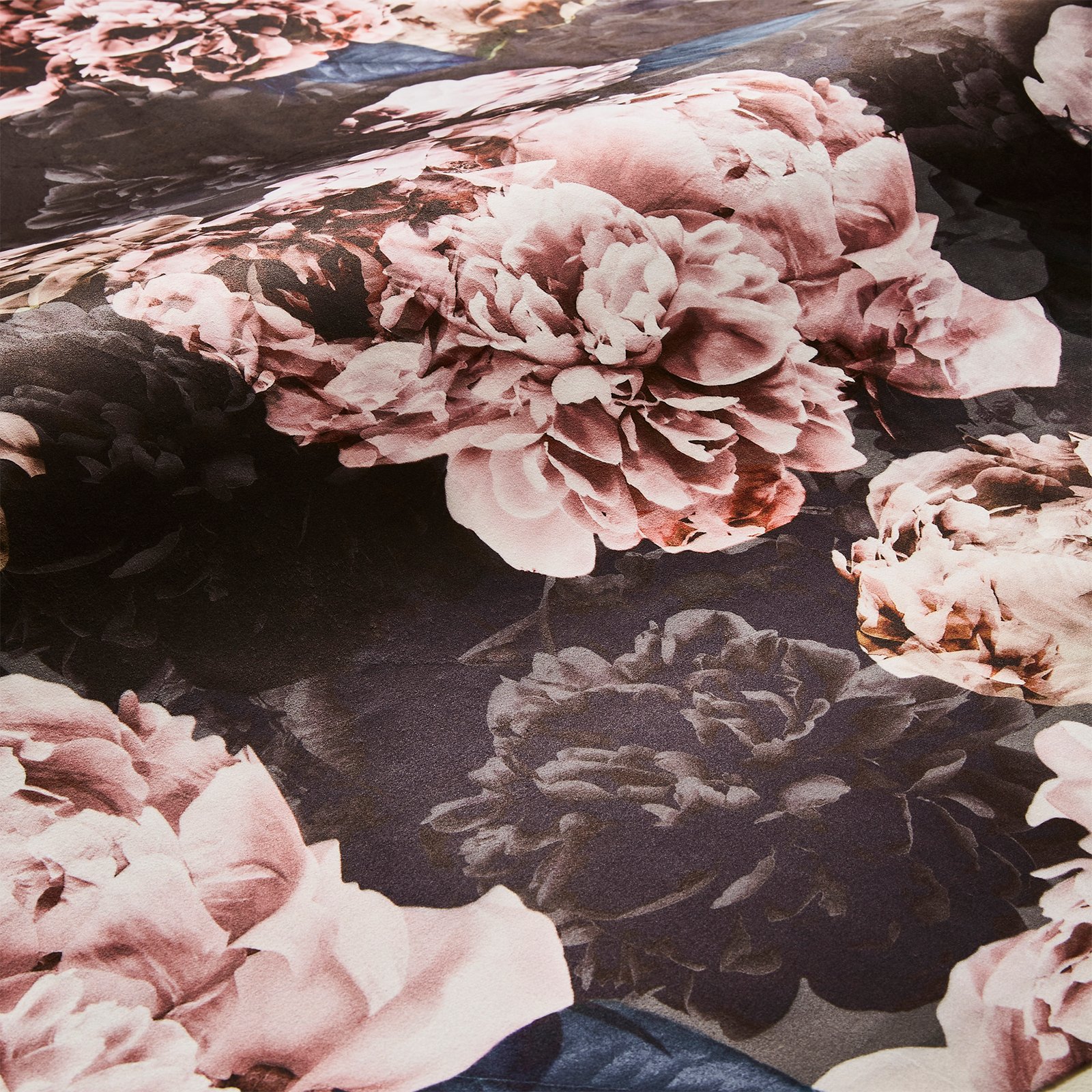 Belle Peony 1.4m